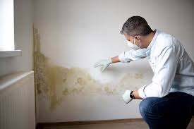 Best Mold-Related Health Consultation  in South Uniontown, PA